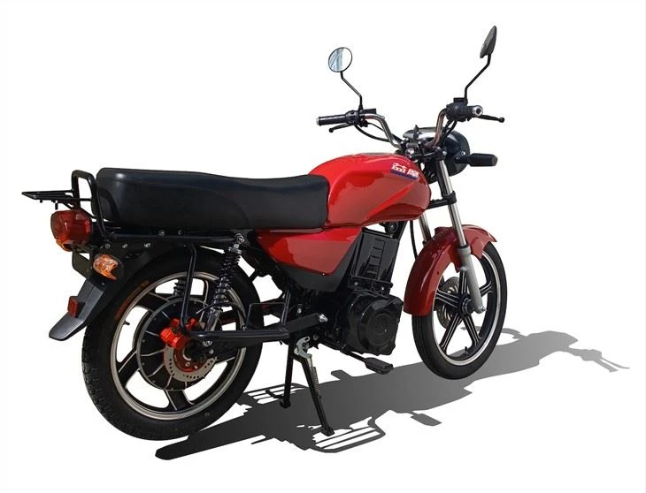 Electricity Street Motor For Adults 1500W