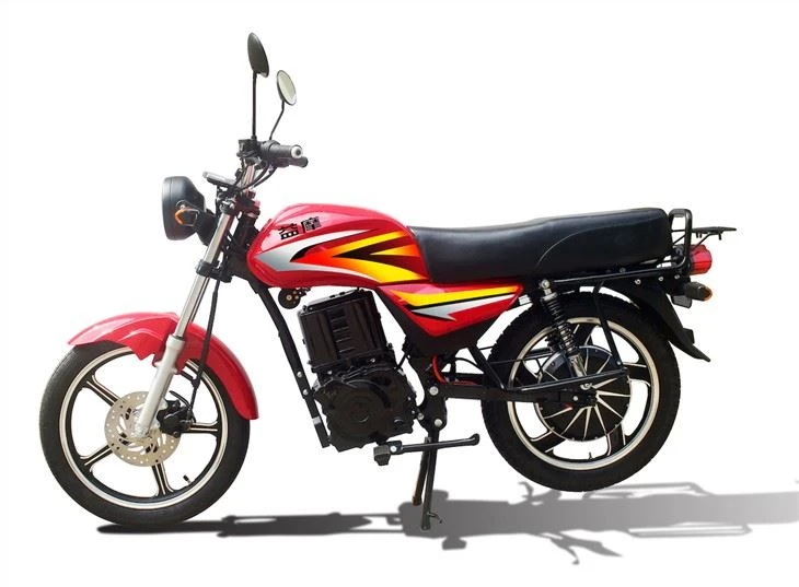 Electricity Street Motor For Adults 1500W