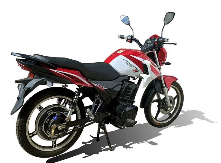 High Performance Cool Electric Motorcycle 2500W