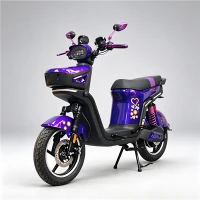 फ़ैक्टरी डायरेक्ट 1500W इलेक्ट्रिक मोटरसाइकिल संलग्न फ्रंट स्टोरेज के साथ
